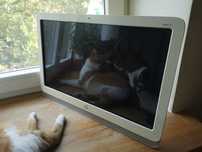 HP Slate 21-s 100 All in one