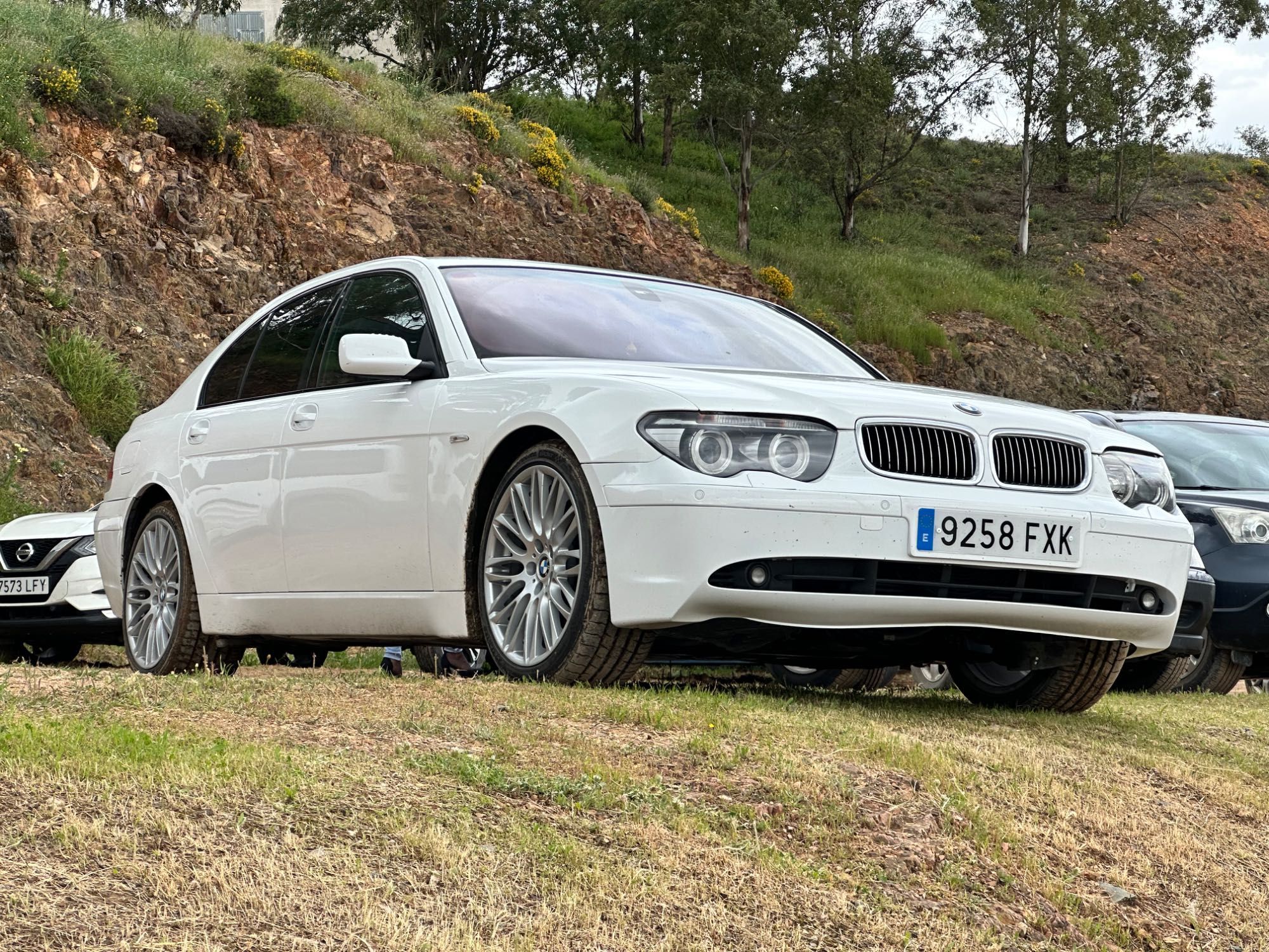 BMW 730 gasóleo con 218 CV