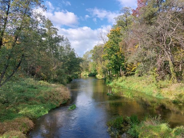 Działka nad Wkrą i z lasem - Płońsk