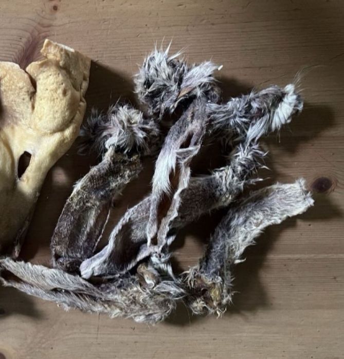 3kg ucho królicze suszone przysmak / gryzak dla psa