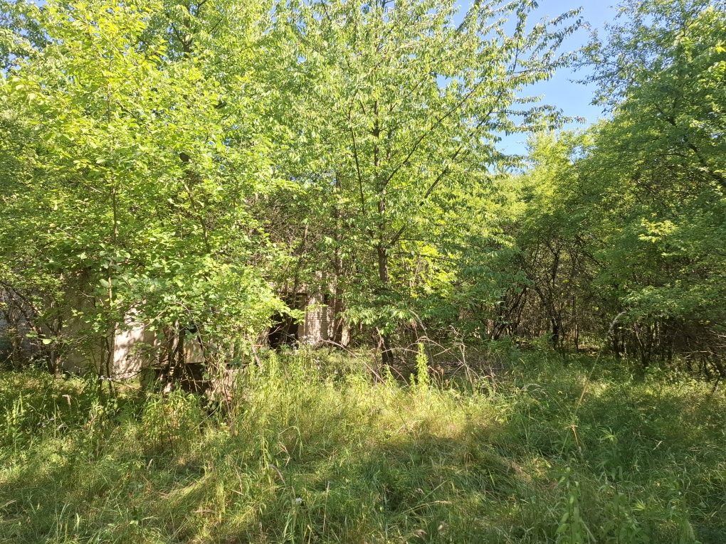 Udział w gruncie 1/2 działka Karnice Puszcza Mariańska 4800 m2