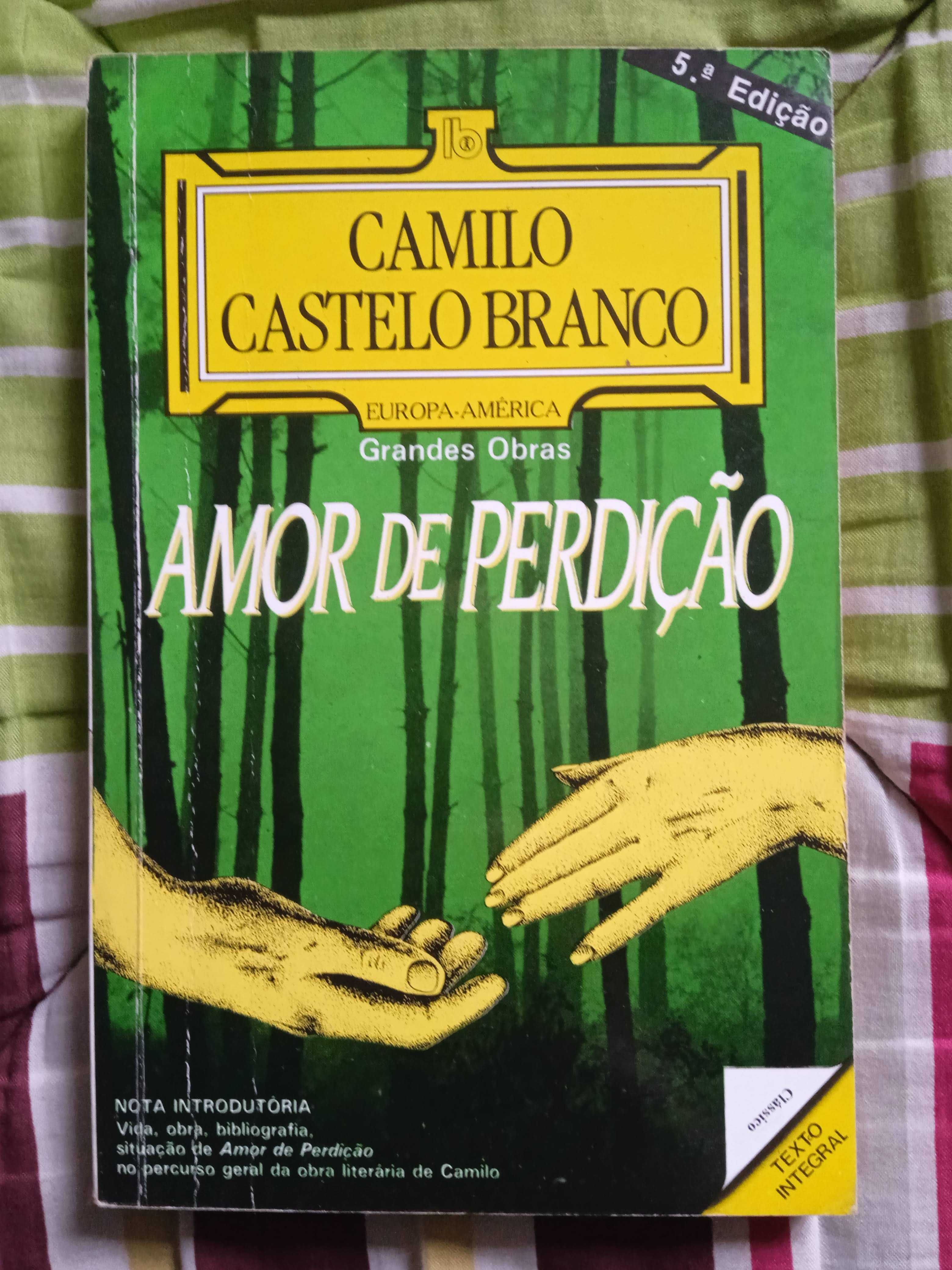 Amor de Perdição - Camilo Castelo Branco