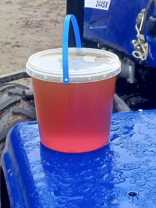 Продам Мед лисови п