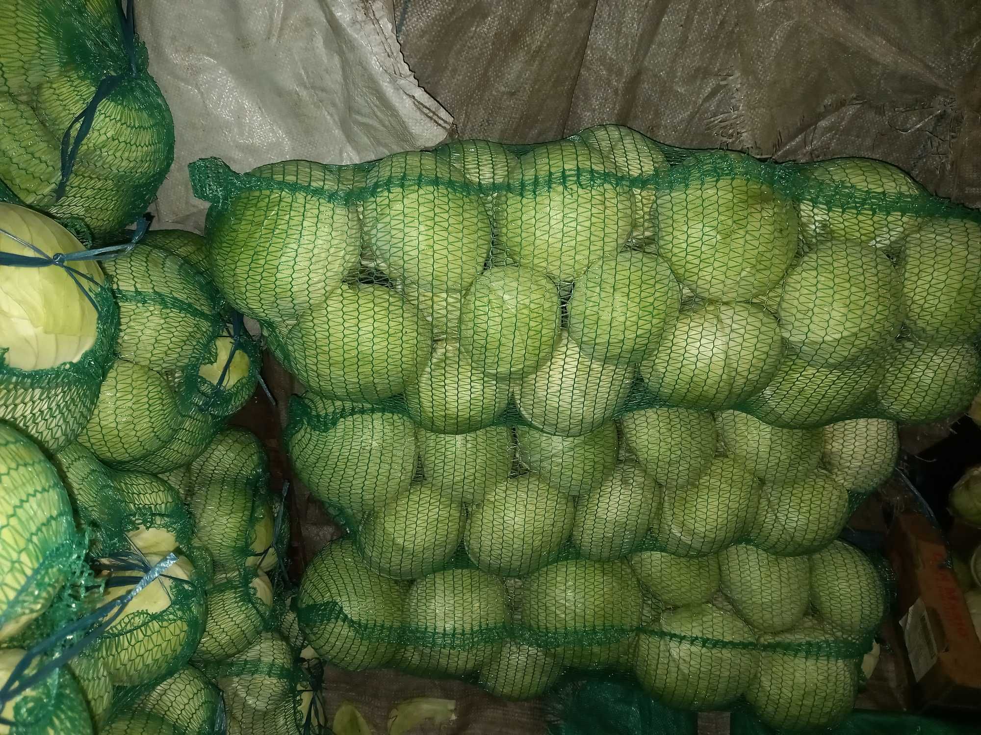 Продається гарна капуста