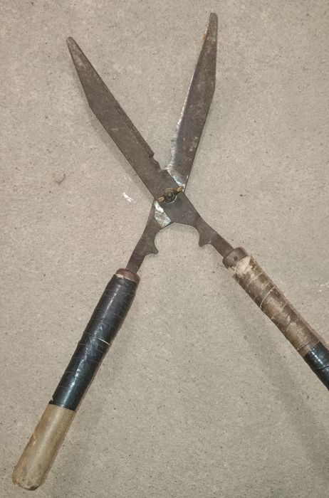 Stare nożyce sekator PRL