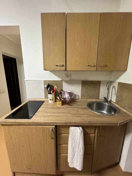 Аренда дома Вишенки 3 недалеко от Золоче рядом Днепр