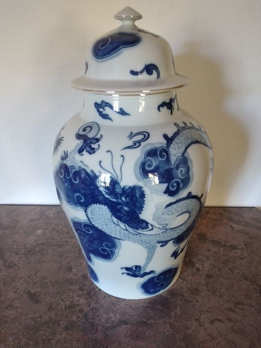 Talha Chinesa Dragão, Vista Alegre