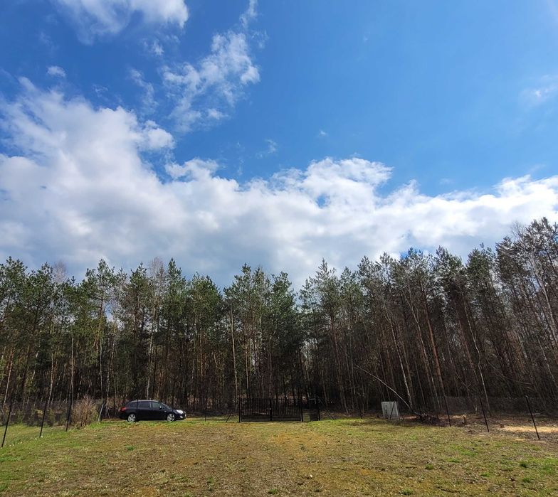 Działka budowlana w lesie, blisko jeziora, 10 arów, Piaseczno