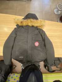 Kurtka canada goose