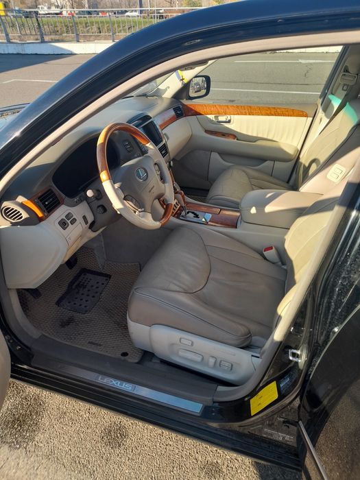 Продам "японського кабана"