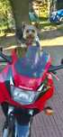 Sprzedam Honde F3 97 ROK