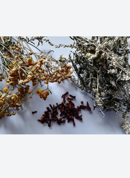 Kuracja ziołowa na ODROBACZANIE Troychatka