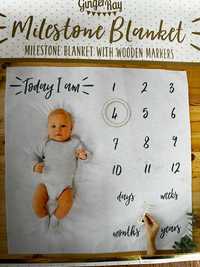 Baby Milestone Blanket