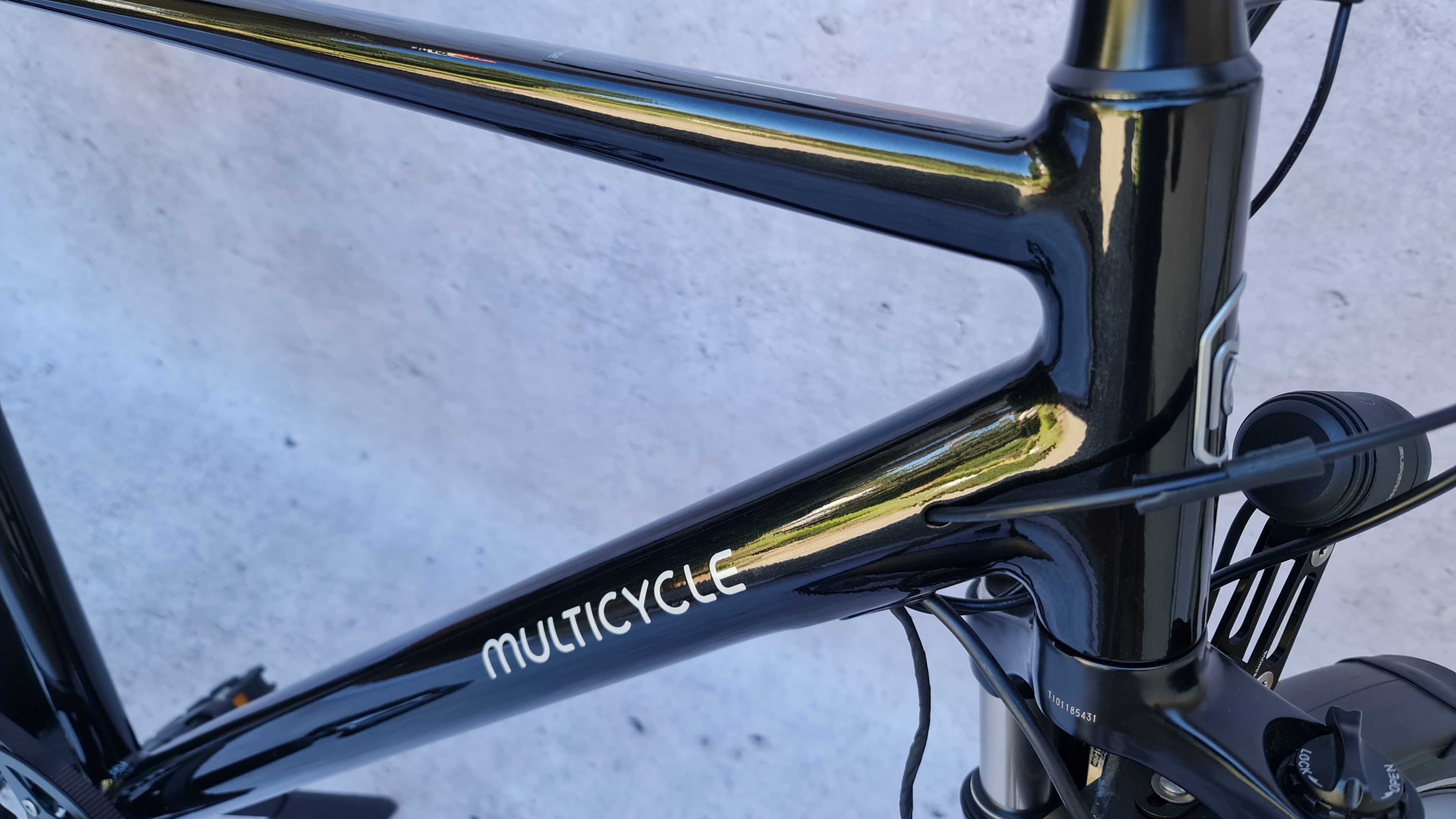 Rower elektryczny Multicycle Prestige EFB rozm. L (57 cm)