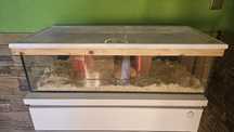 Akwarium terrarium szczelne z pokrywą na wymiar 100 x 45 klatka