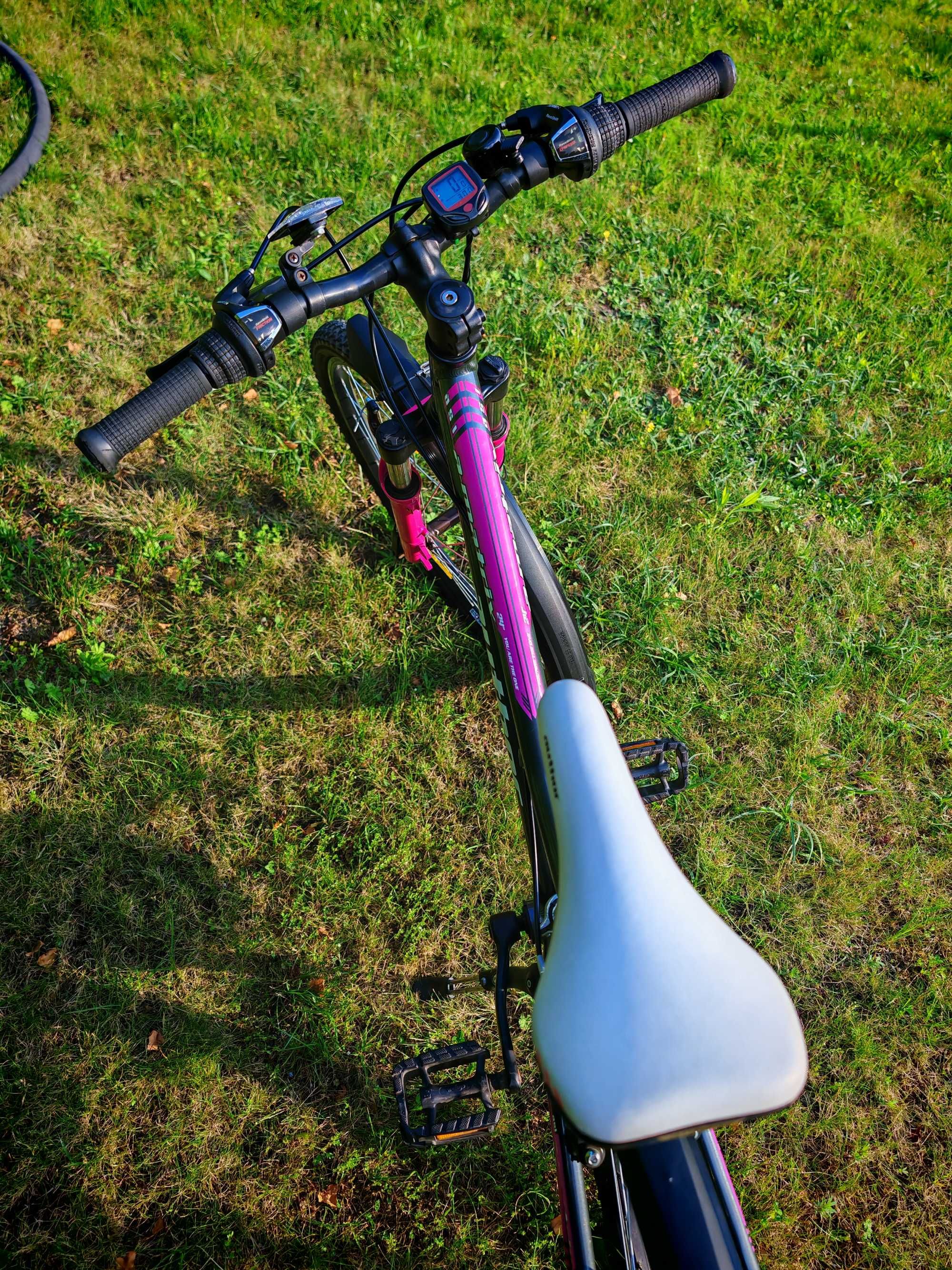 Rower Author A-Matrix 24”