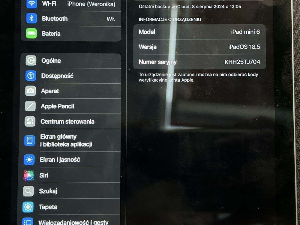ipad mini 6th genration