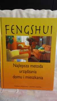 Fengshui thomas frohling