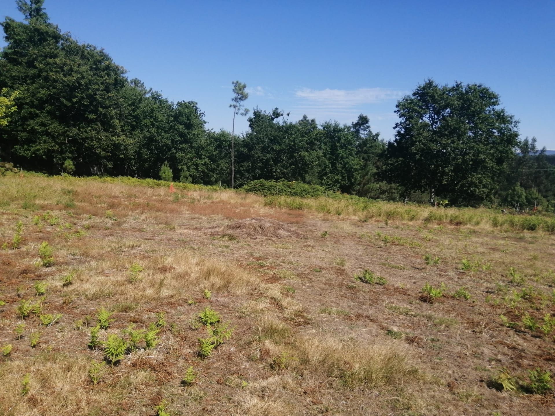 Terreno para construção