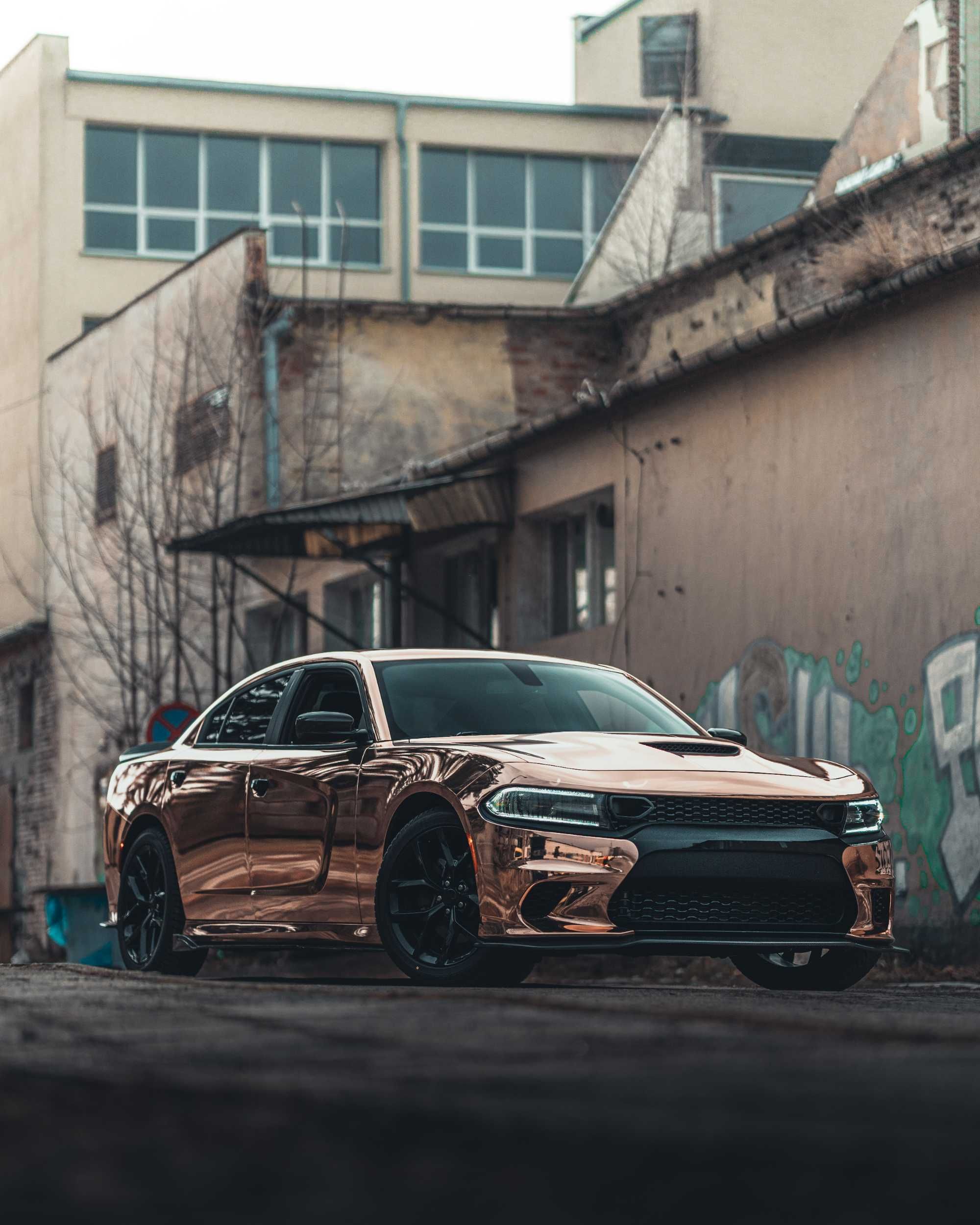 Wypożyczalnia, Wynajem Samochod do ślubu Złoty Mustang Audi Corvette