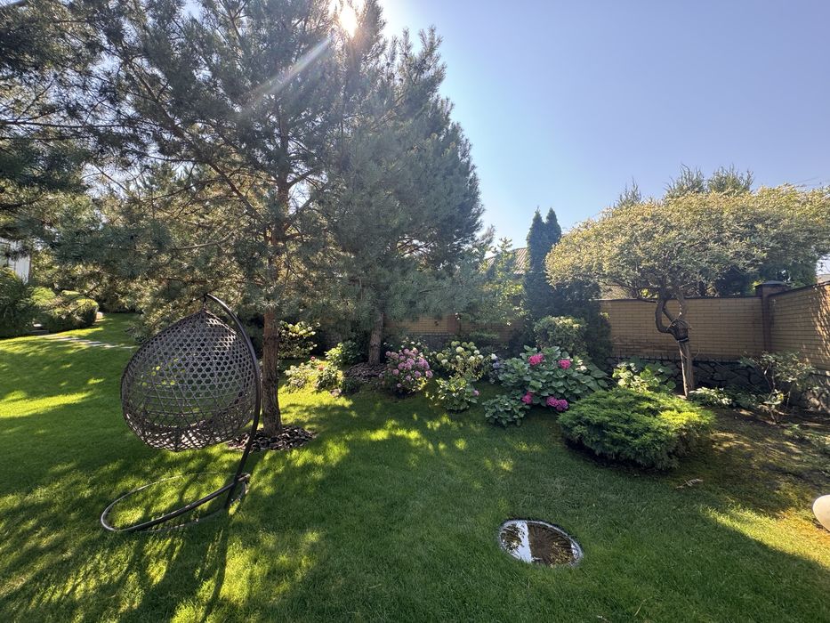 Горенычи, 1 га в центре села