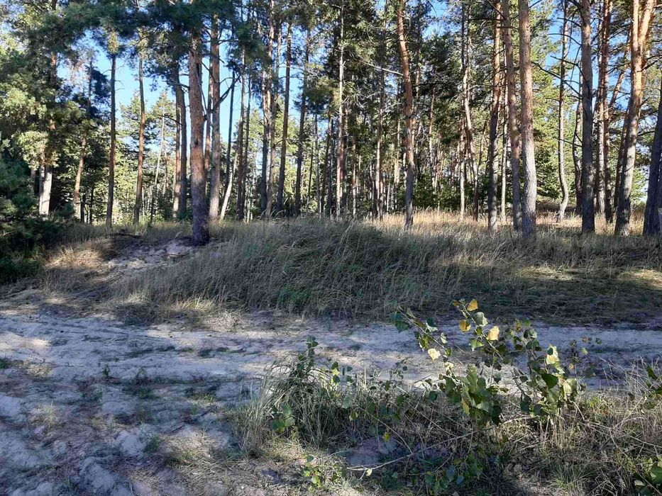 участок от Черкасс за свидивок сокирна с Елизаветовка выход в Днепр