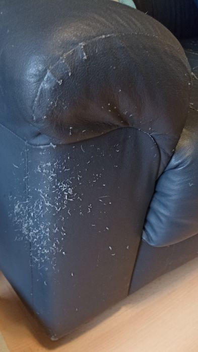 Sofa em pele 2Lugares