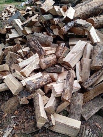 drewno opałowe zesonowane