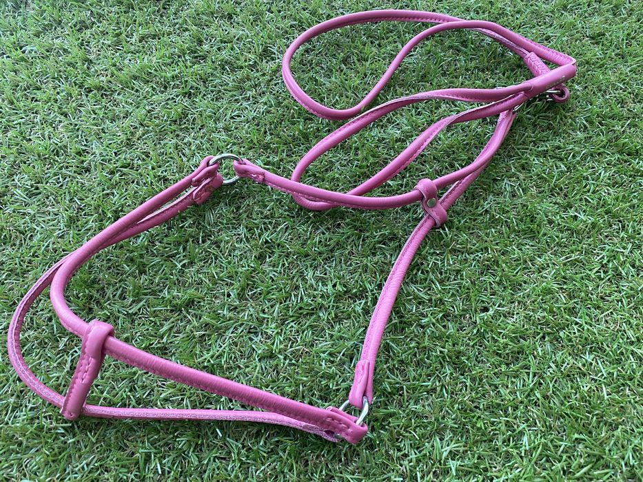 Шкіряний повідець Collar 122 см