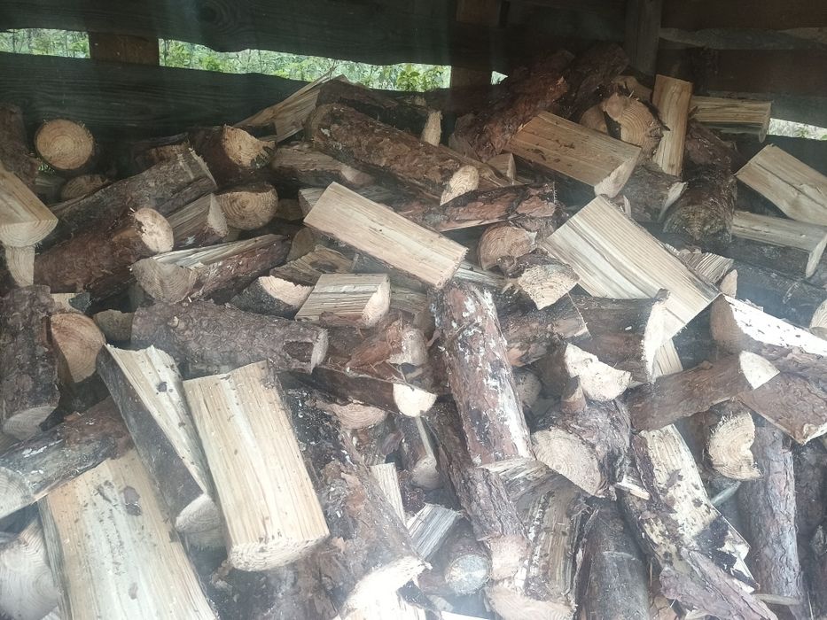 Drewno opałowe do Pieca,Piecyka Kozy,Suche,gotowe do palenia Transport