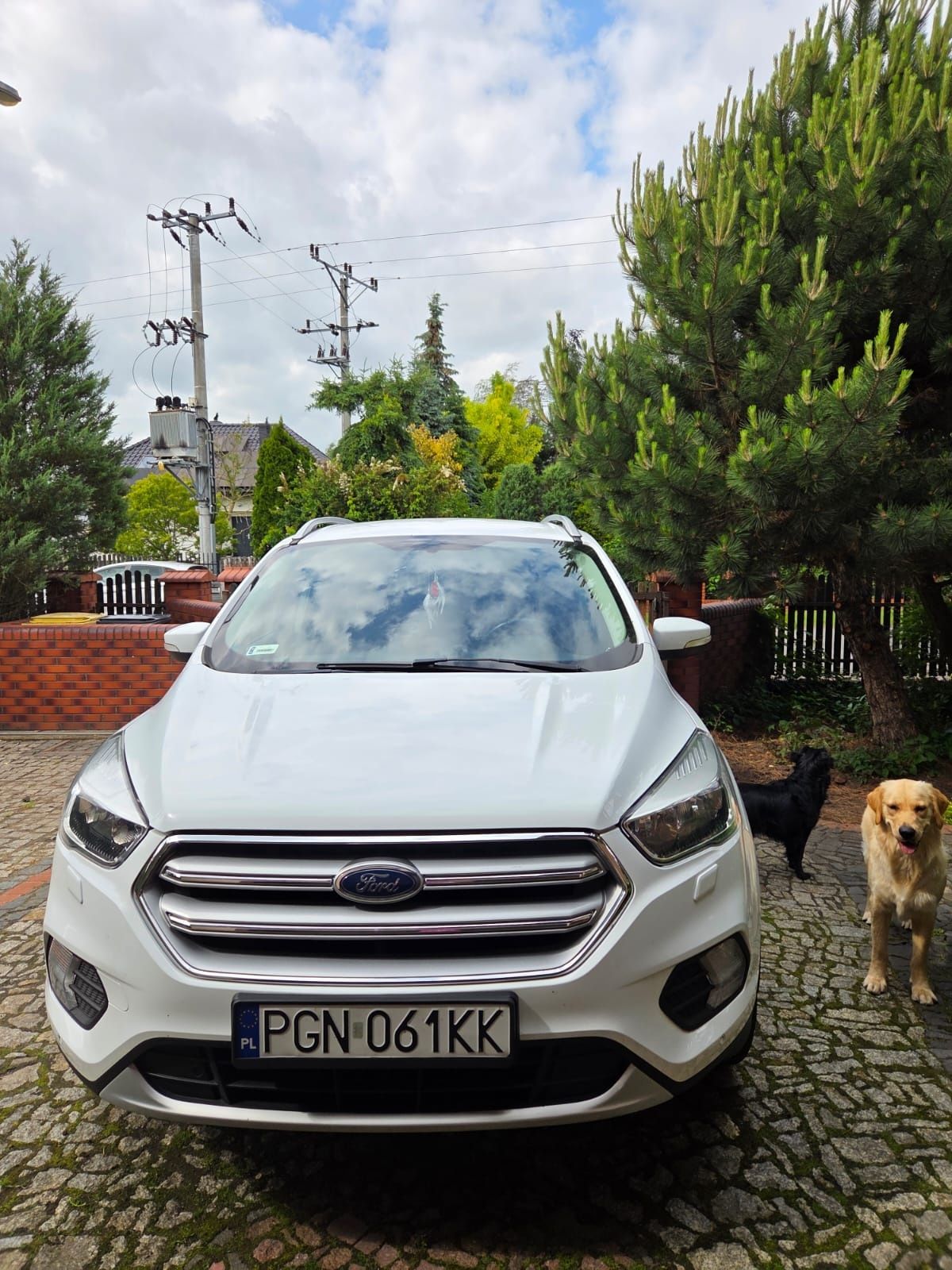 Ford Kuga 1,5 Ecoboost FV23%