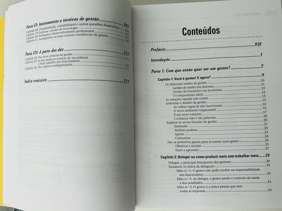 Livro Gestão Para Totós