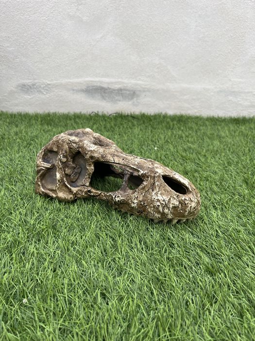 Terrário para Répteis ou Anfíbios