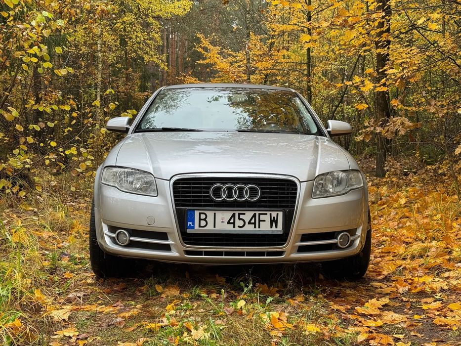Audi A4 Limousine Audi A4 B7 2007 2.0 TDI