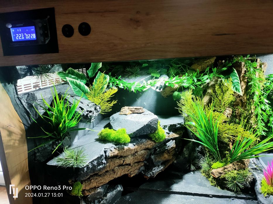 Terrarium 120x60x60 dla węża, jaszczurki,,agamy,gekona