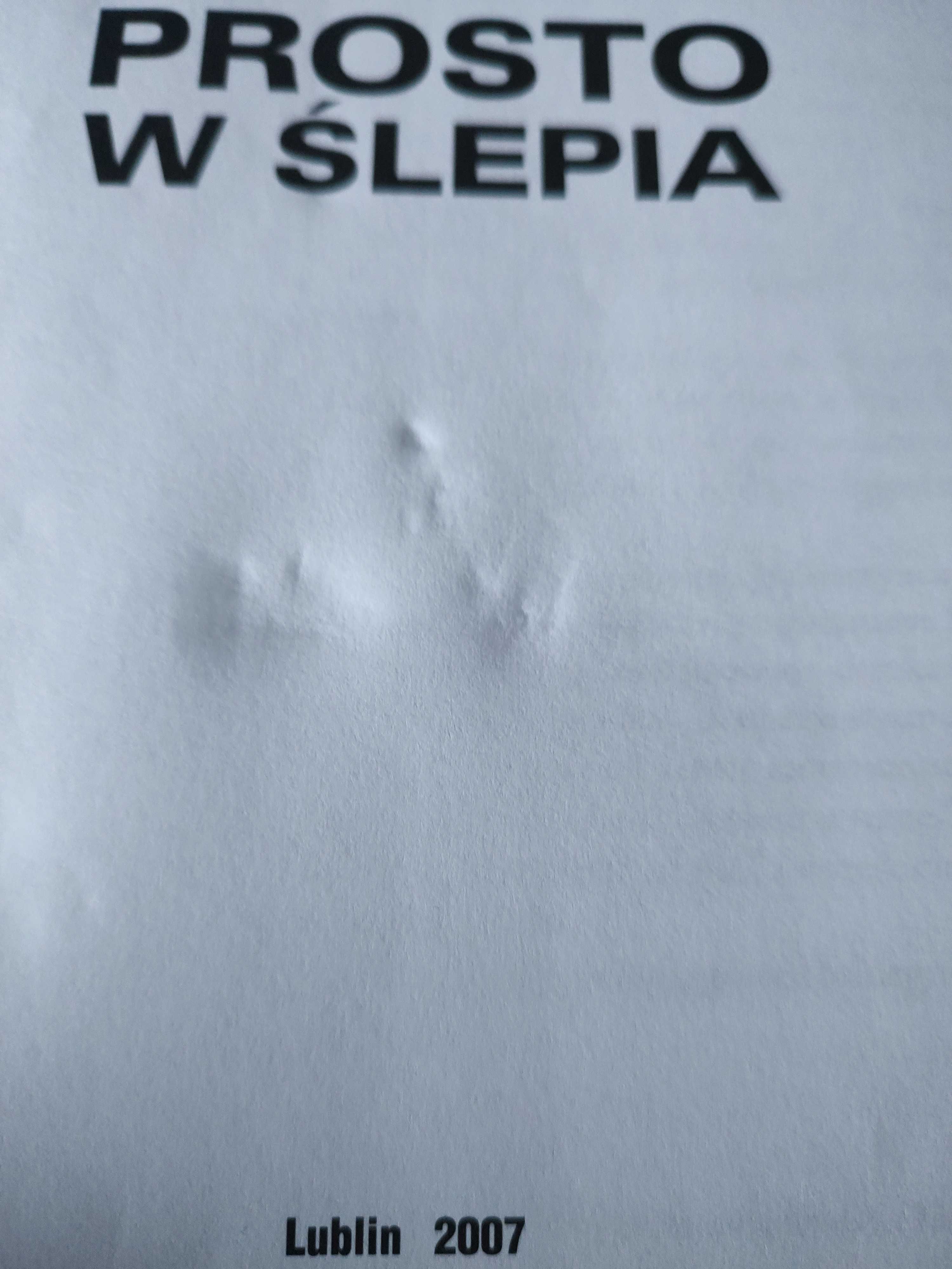 Prosto w ślepia Henryk Pająk
