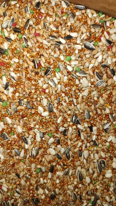 Karma dla Papug średnich + Papug Dużych 20 kg kampol