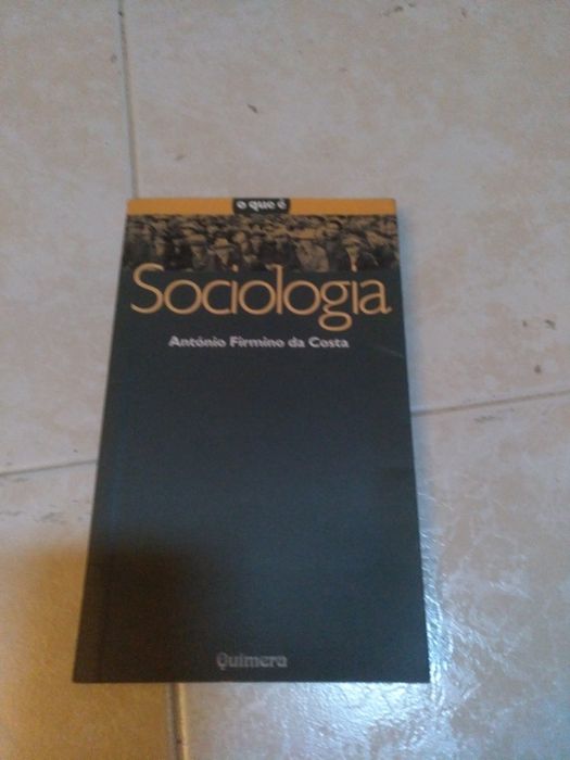 Livro Sociologia - António Firmino da Costa