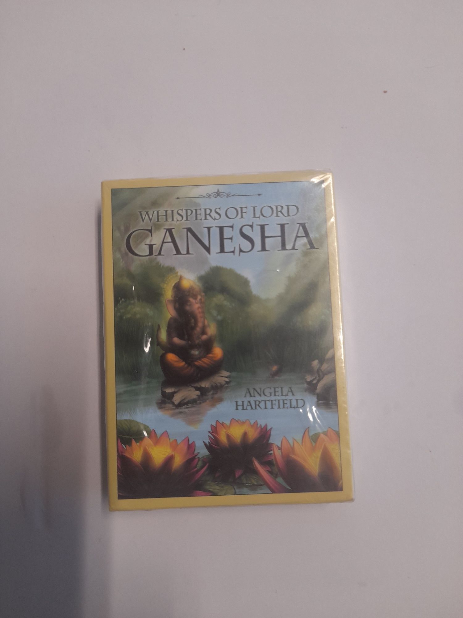 Cartas de Tarot e Oráculo diversas