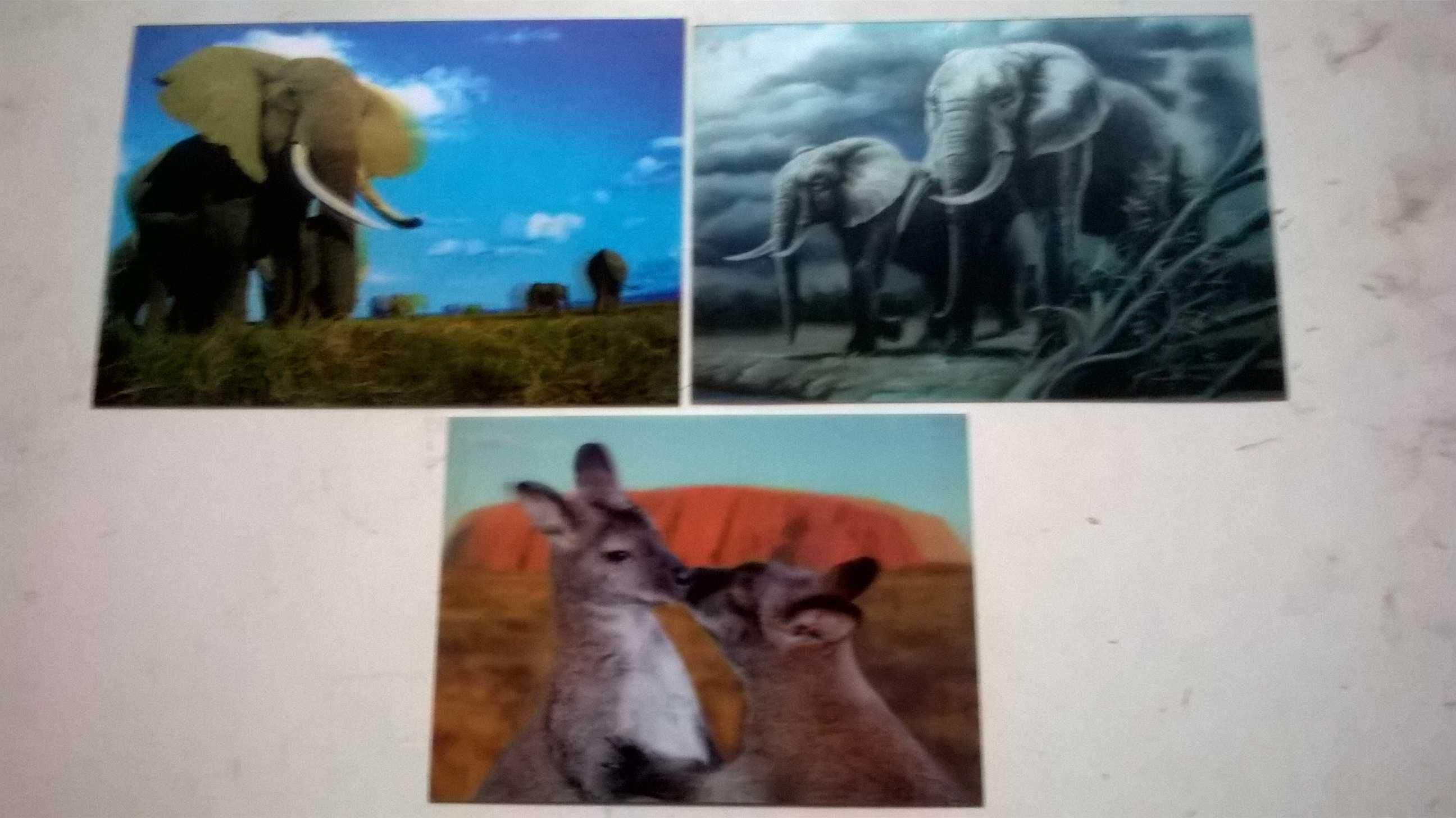 pocztówki (widokówki) trójwymiarowe 3D - zwierzęta - 19 szt.