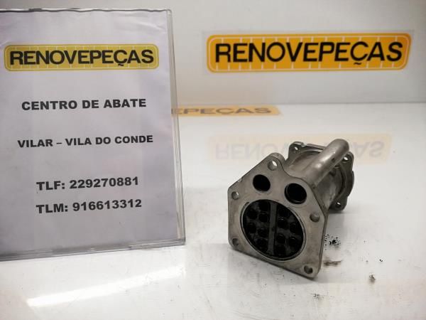 Radiador de gases / EGR RENAULT Clio III (BR0/1, CR0/1)
