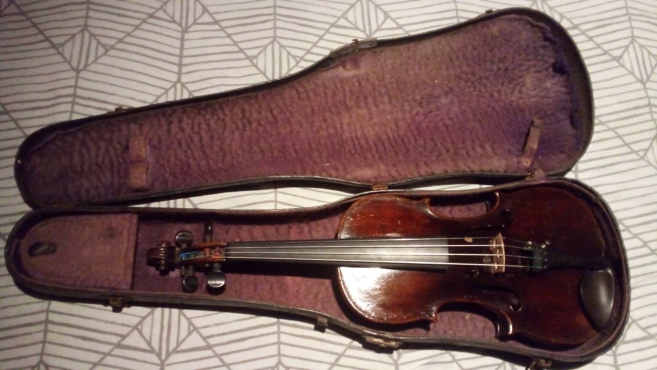 Violino design alemão