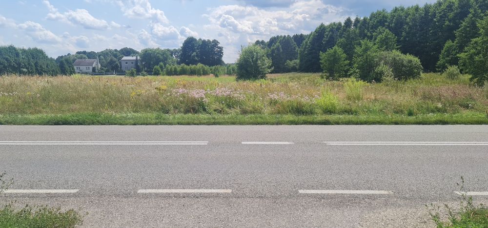 Sprzedam działkę w Rudzie Strawczyńskiej o powierzchni 8481m2