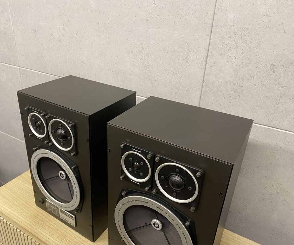 Grundig Professional Aktiv Box 30 - 100/80W - audiofilskie kolumny