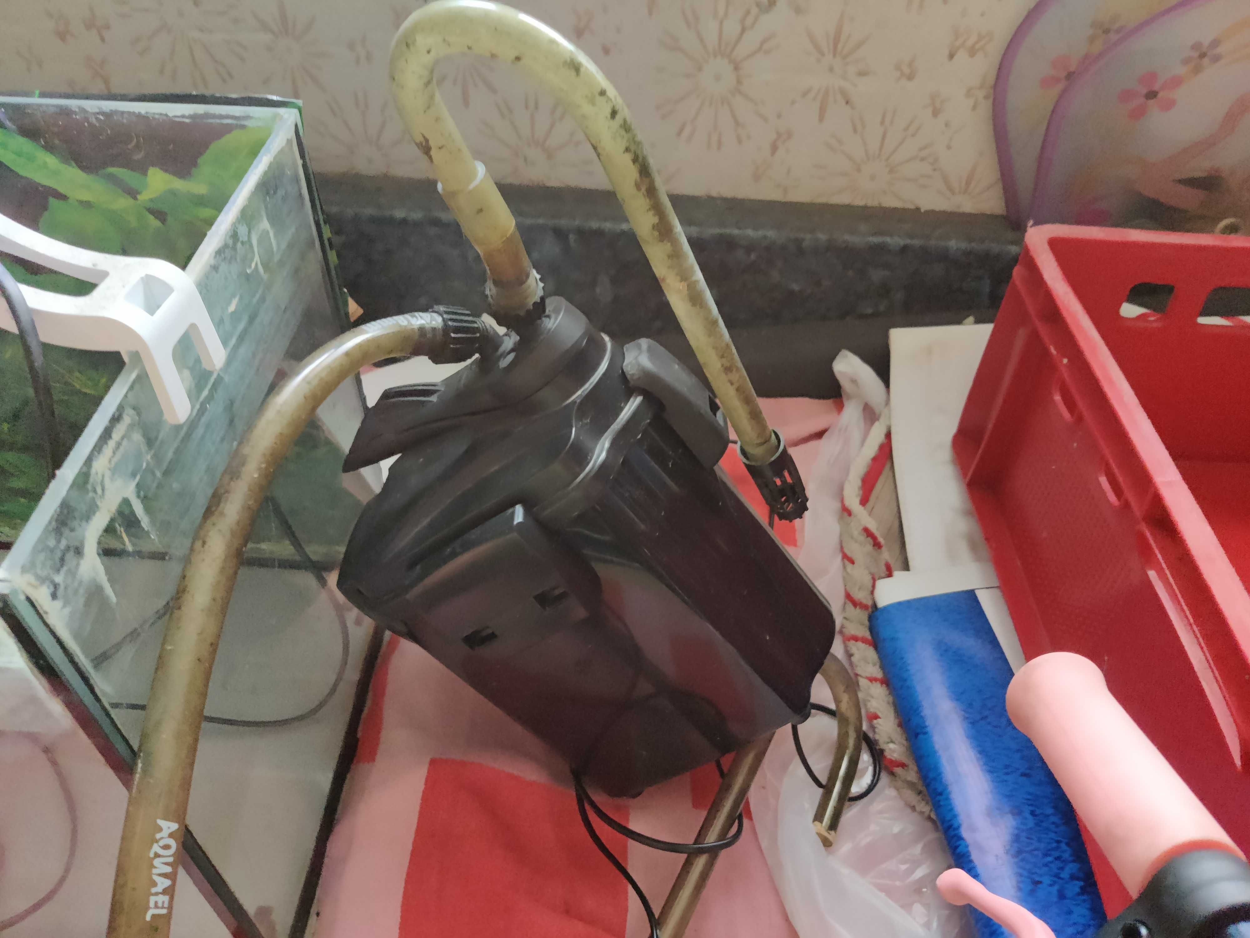 Akwarium, lampa, filtr