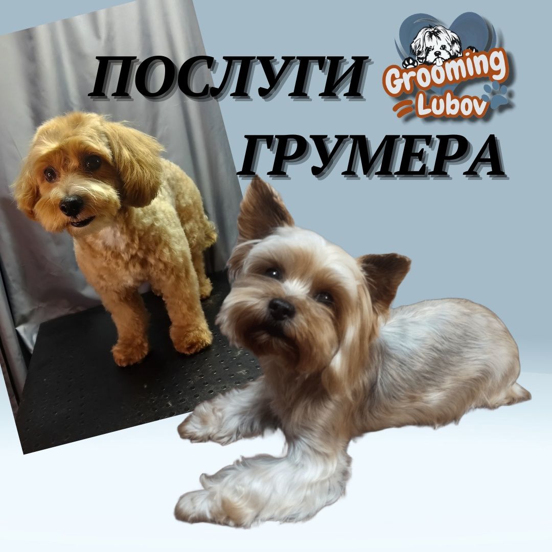 Стрижка собак до 10 кг