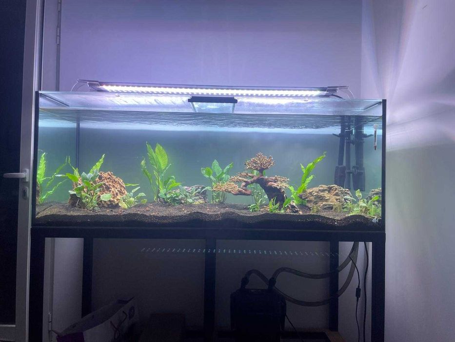 Aquário Scalare 400L