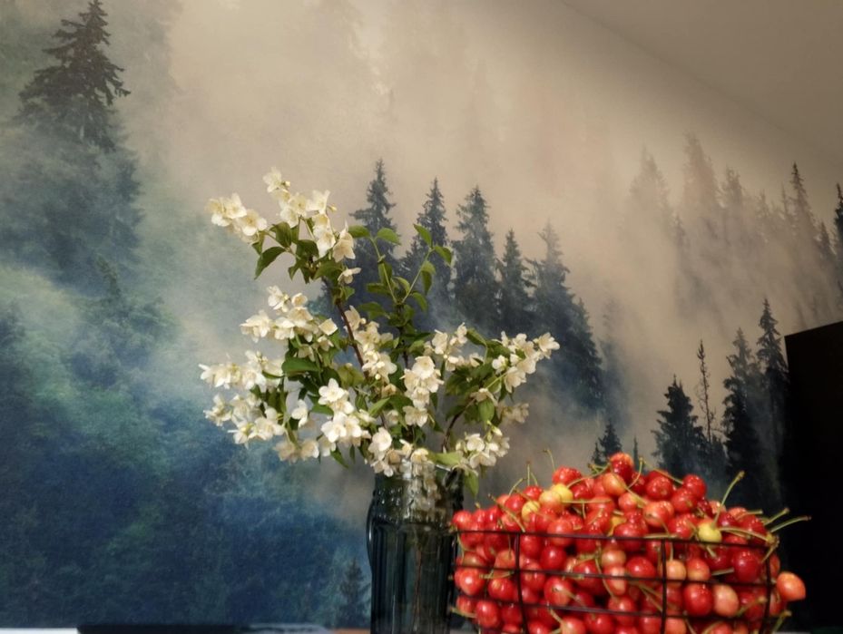 Domek Pod Czereśnią Szczawnica  na wyłączność