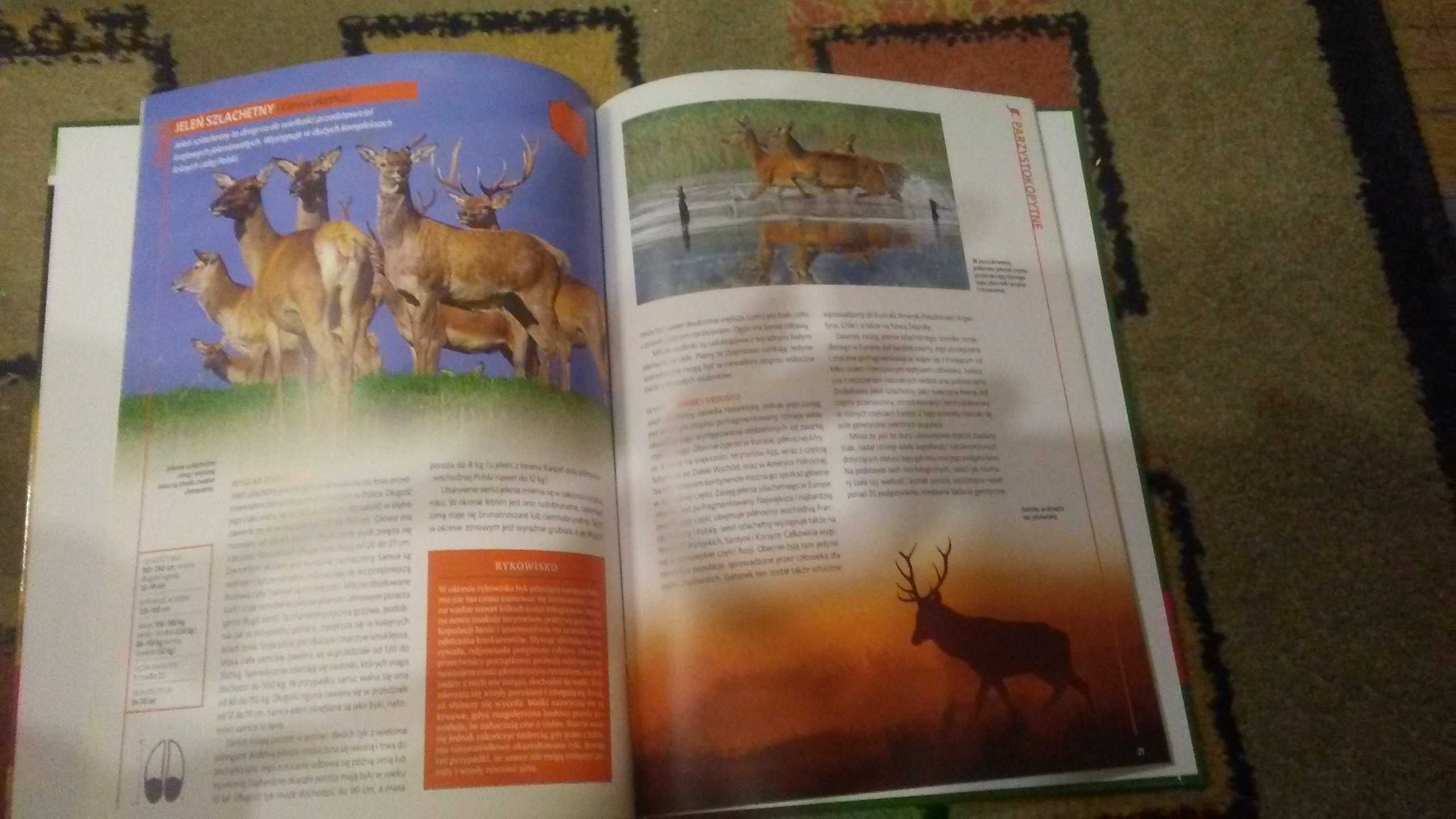 encyklopedia przyrody tom1 zwierzęta nowe