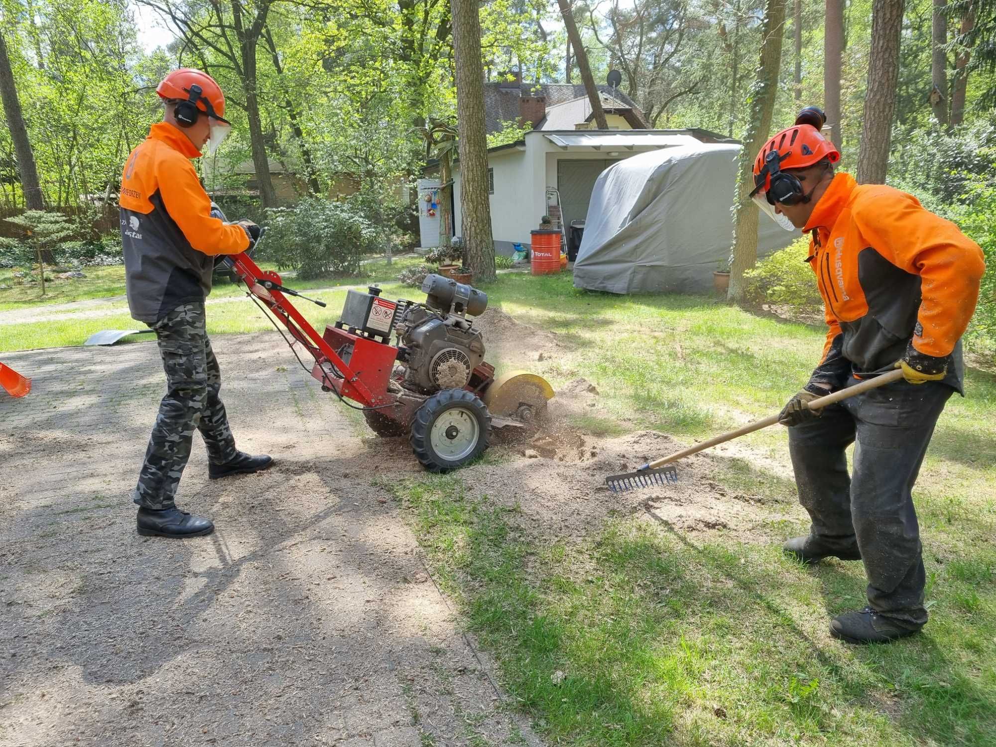 Alpinistyczne cięcie i przycinanie drzew Wodzierady Konstantynów Pabia